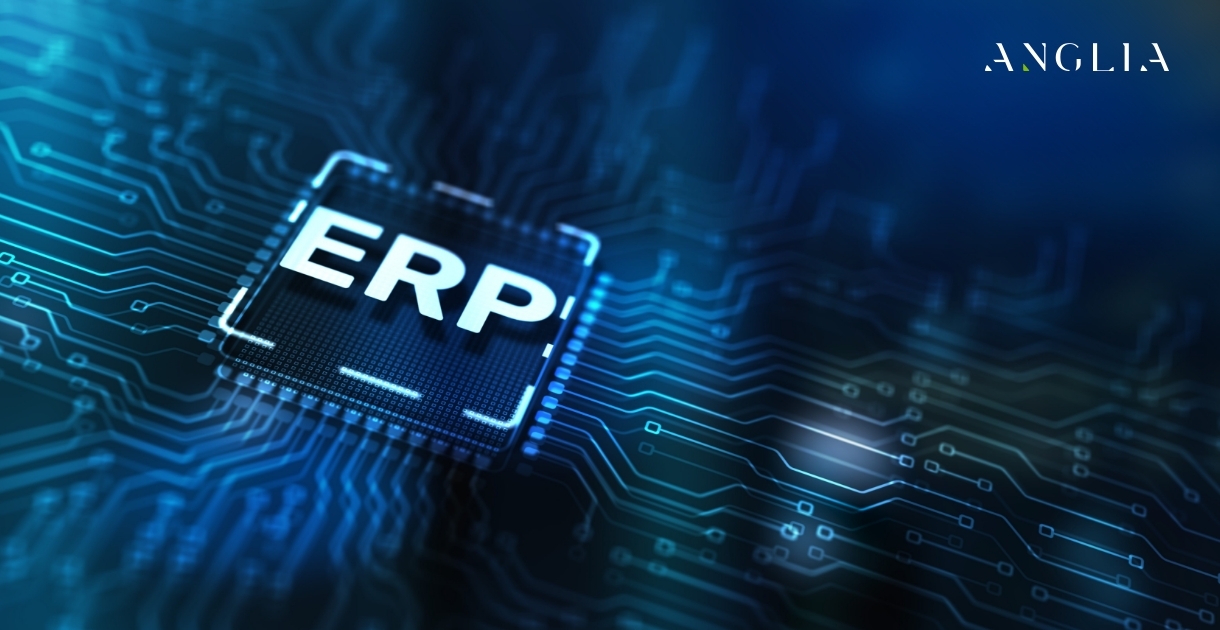 Streamlining Operations: How ERP Systems Transform Businesses